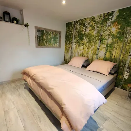 Chez Stef 3* マルコルスハイム