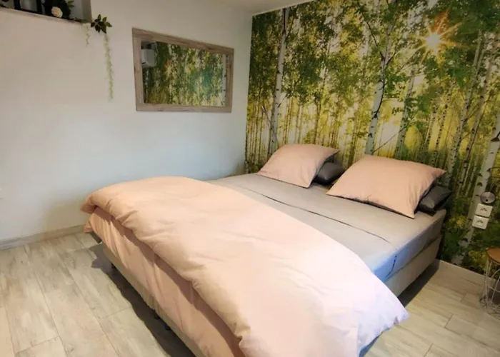 Chez Stef 3* Marckolsheim